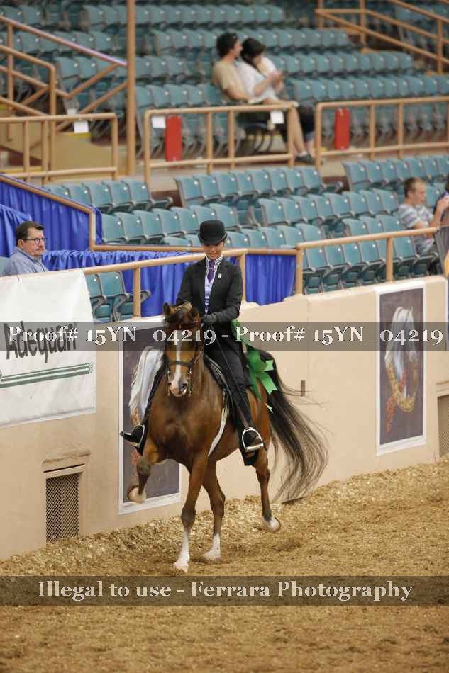 Proof 15YN_04219