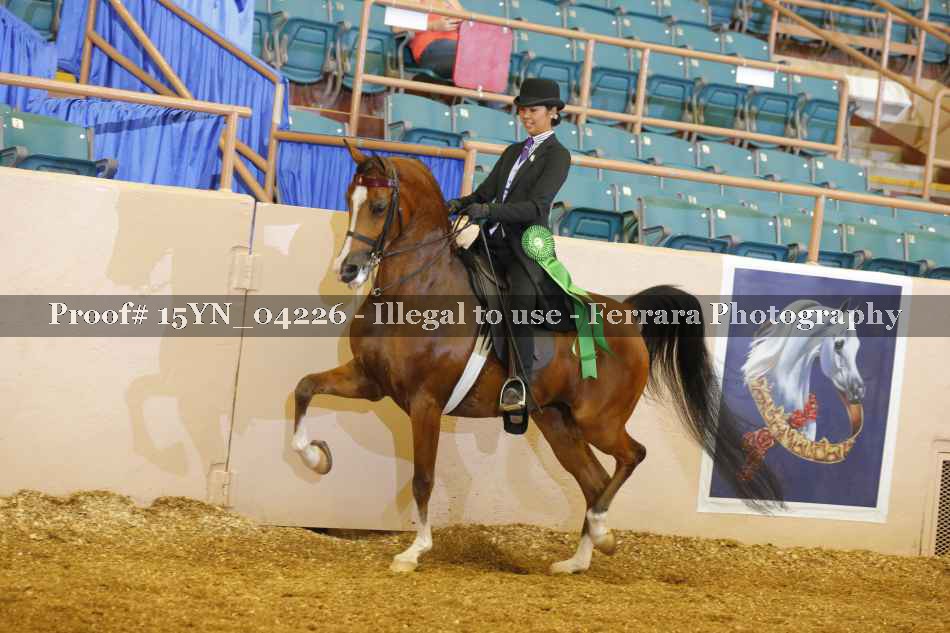 Proof 15YN_04226