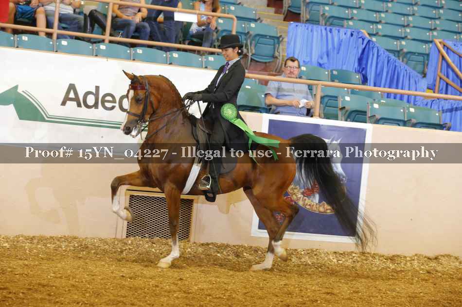 Proof 15YN_04227