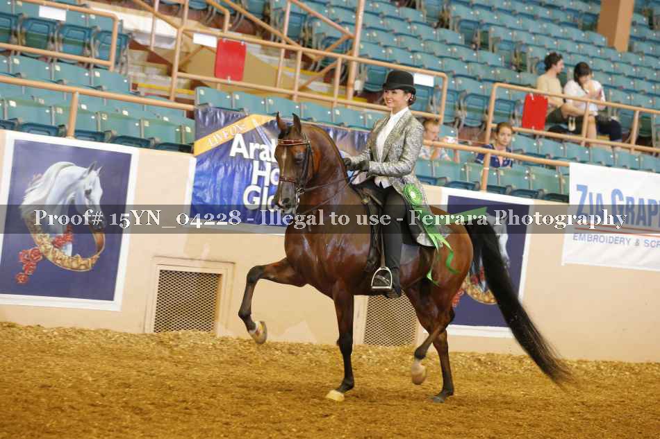 Proof 15YN_04228
