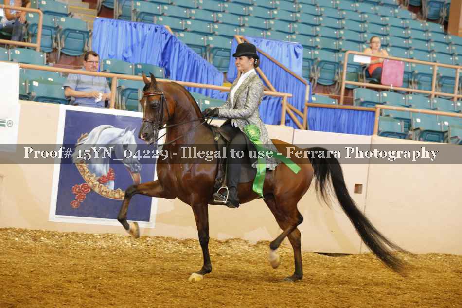 Proof 15YN_04229