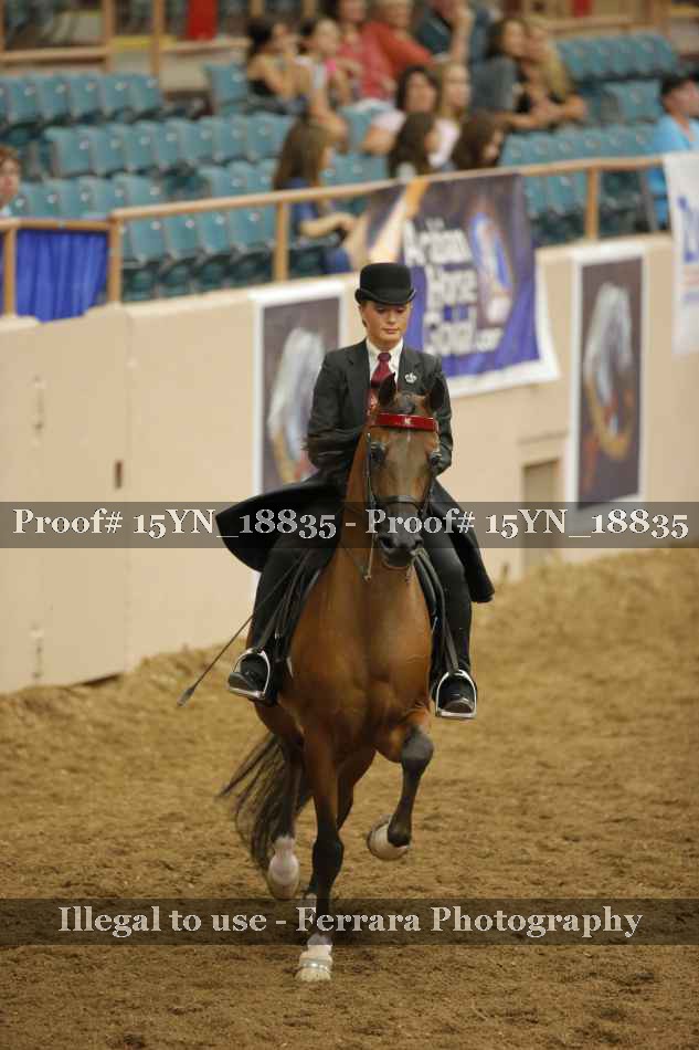 Proof 15YN_18835
