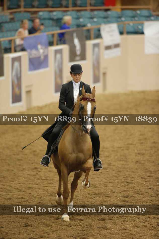 Proof 15YN_18839