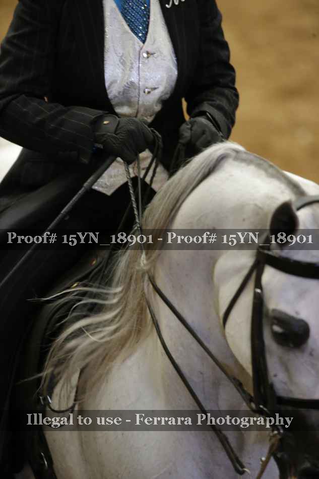 Proof 15YN_18901