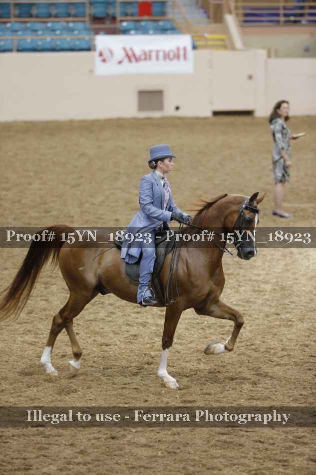 Proof 15YN_18923