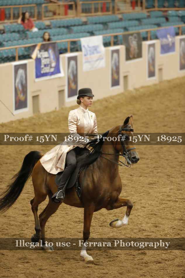 Proof 15YN_18925