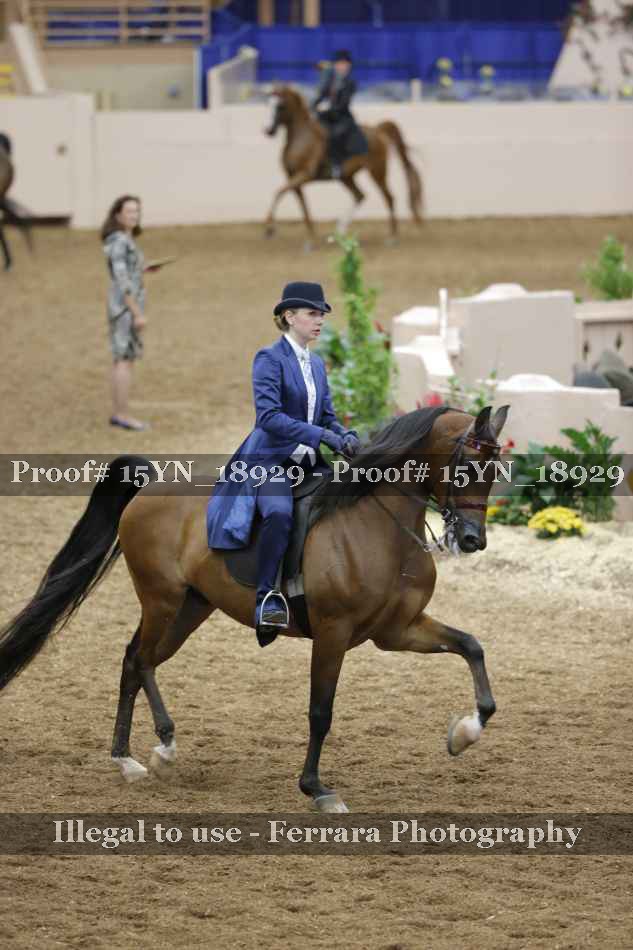 Proof 15YN_18929