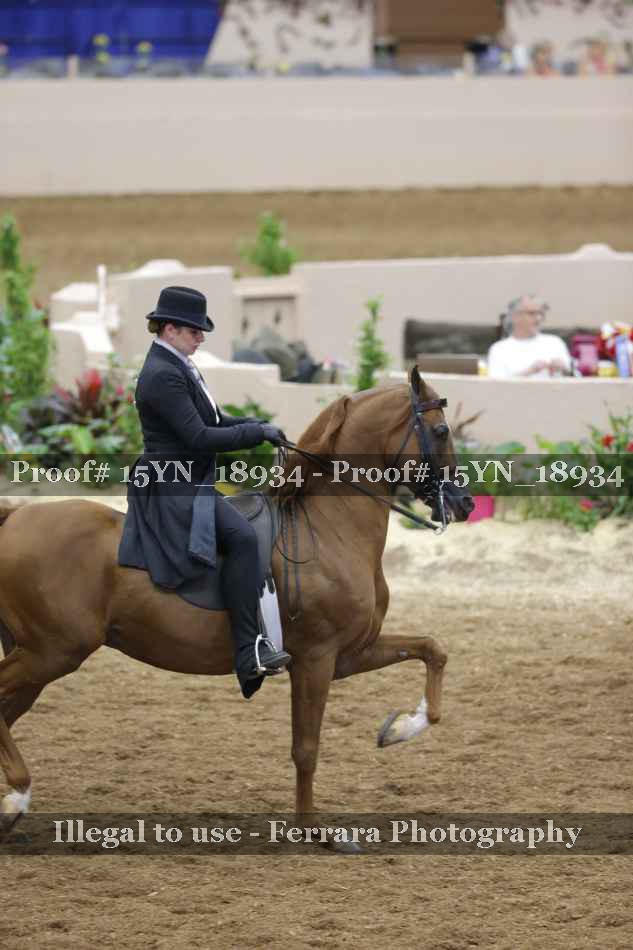 Proof 15YN_18934
