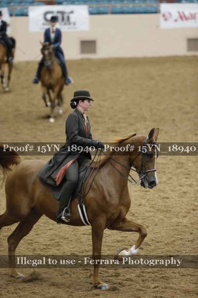 Proof 15YN_18940