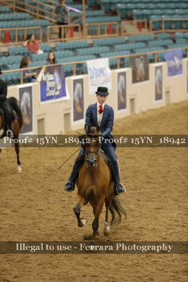 Proof 15YN_18942