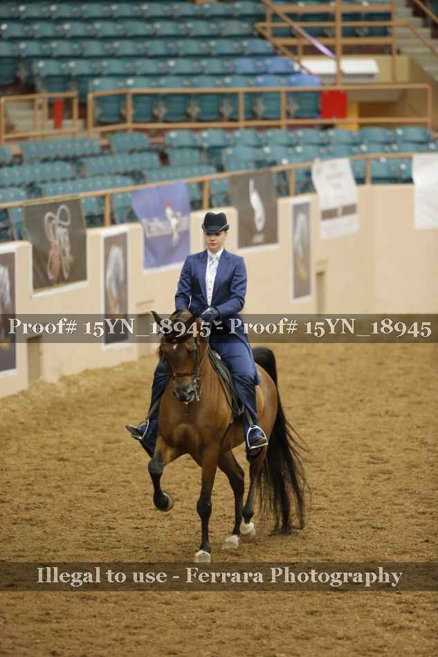 Proof 15YN_18945