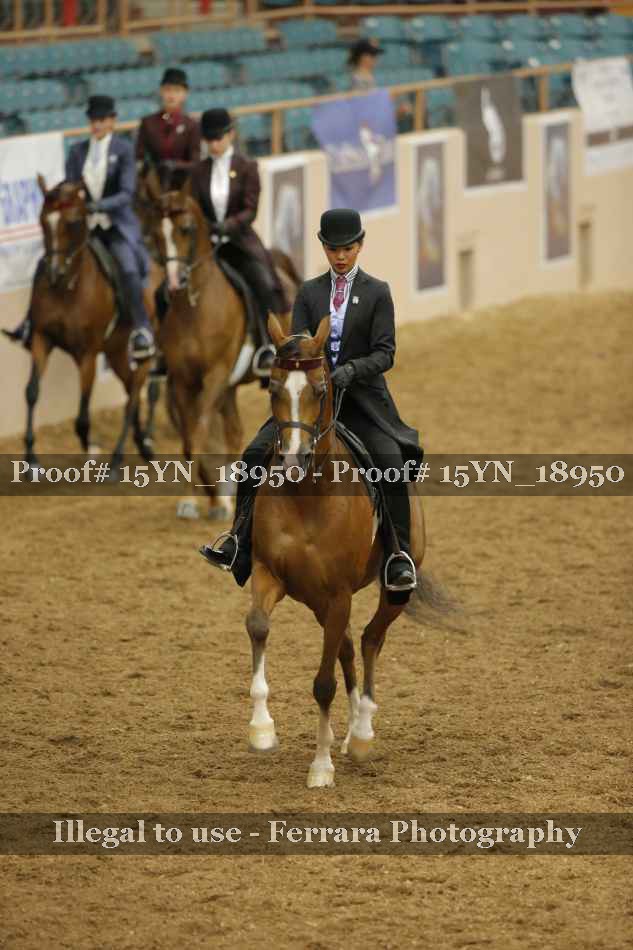 Proof 15YN_18950