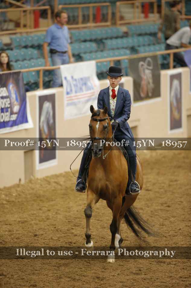 Proof 15YN_18957