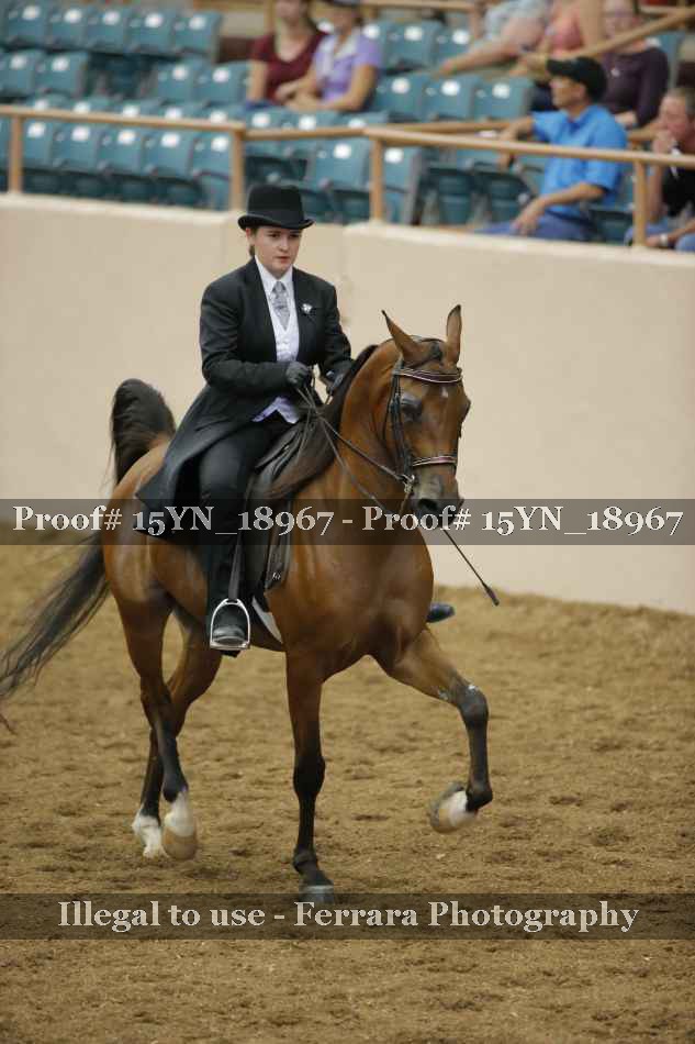 Proof 15YN_18967