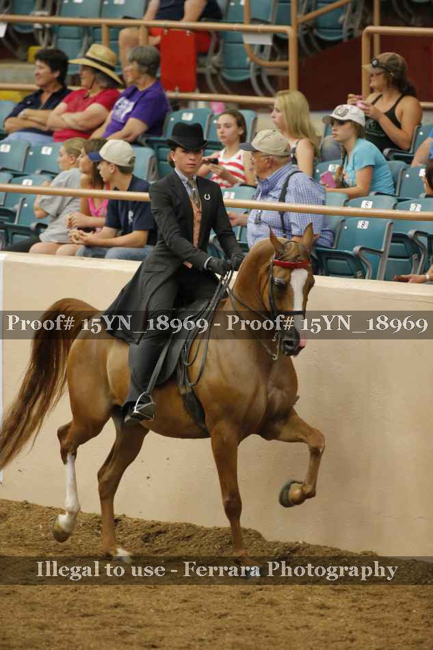Proof 15YN_18969