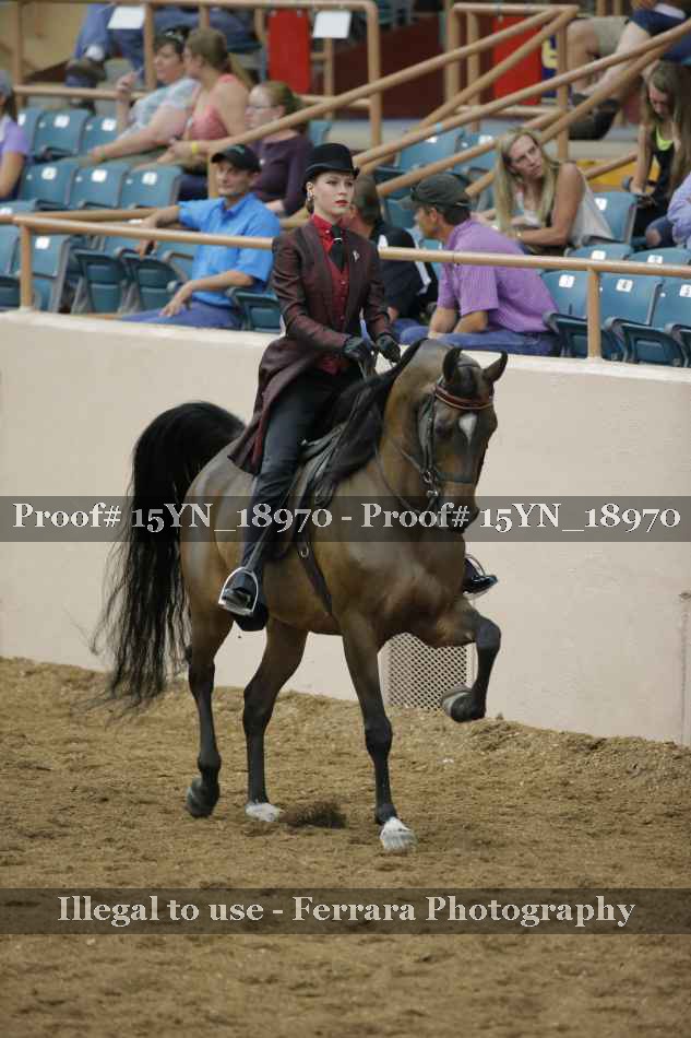 Proof 15YN_18970