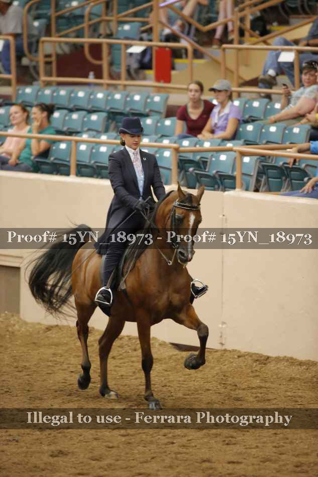 Proof 15YN_18973