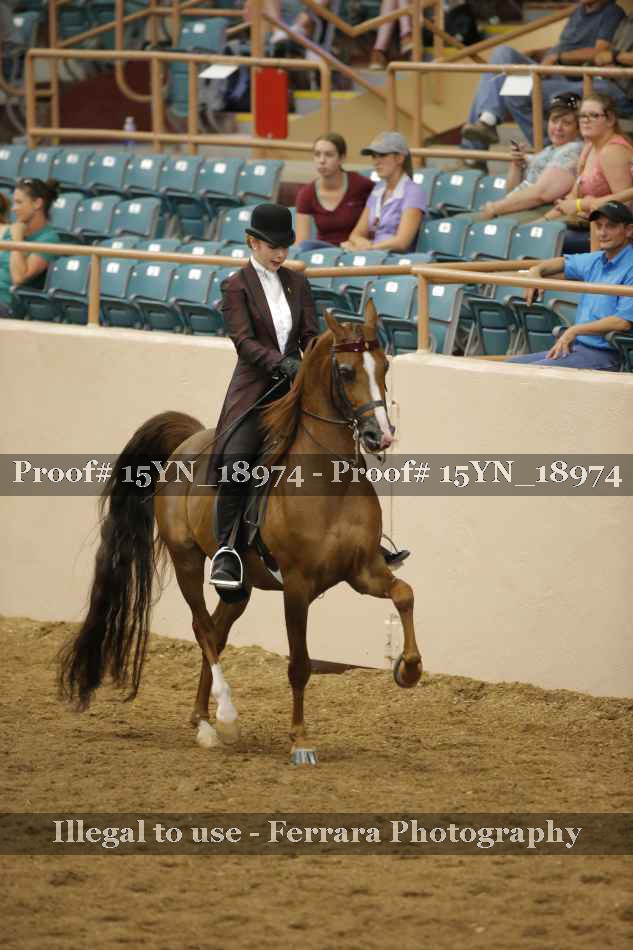 Proof 15YN_18974