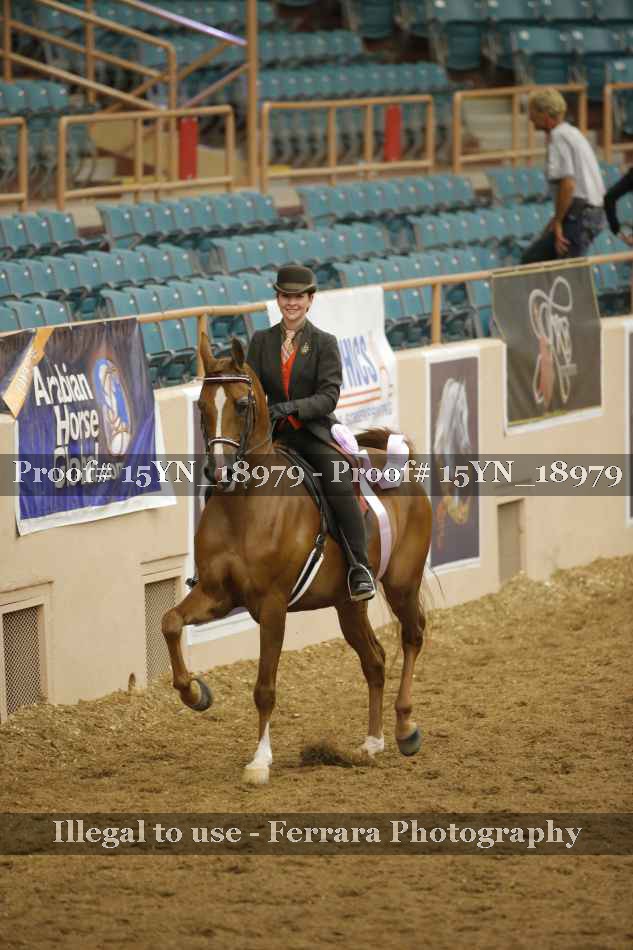 Proof 15YN_18979