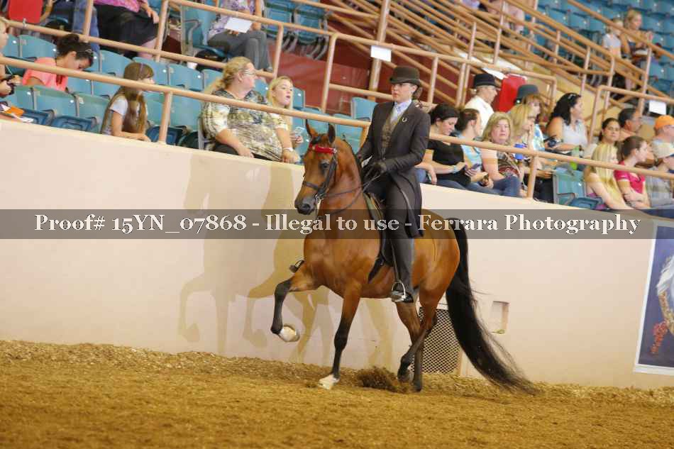 Proof 15YN_07868