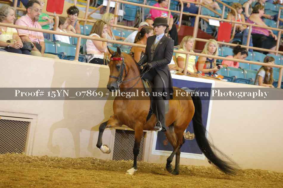 Proof 15YN_07869