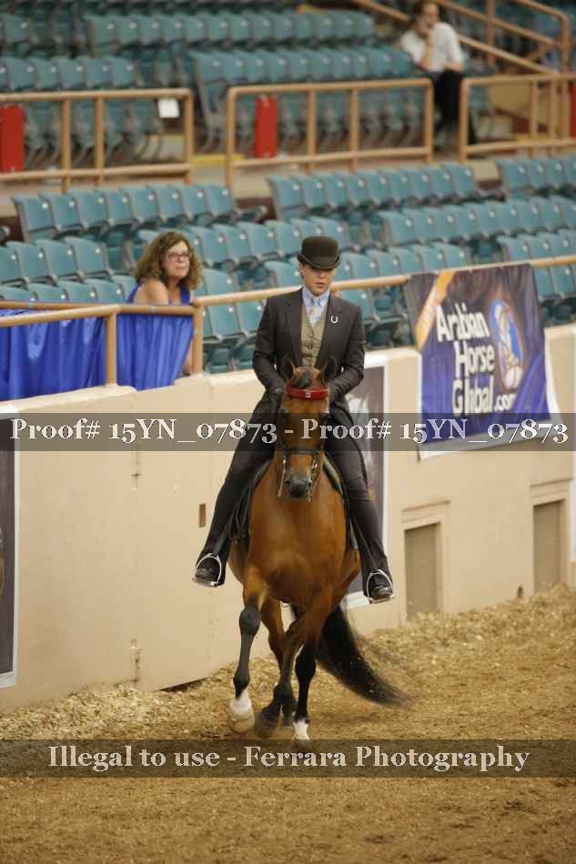 Proof 15YN_07873