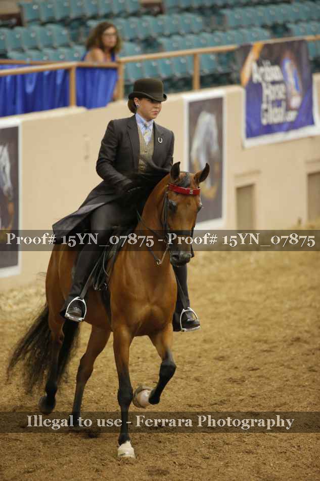 Proof 15YN_07875