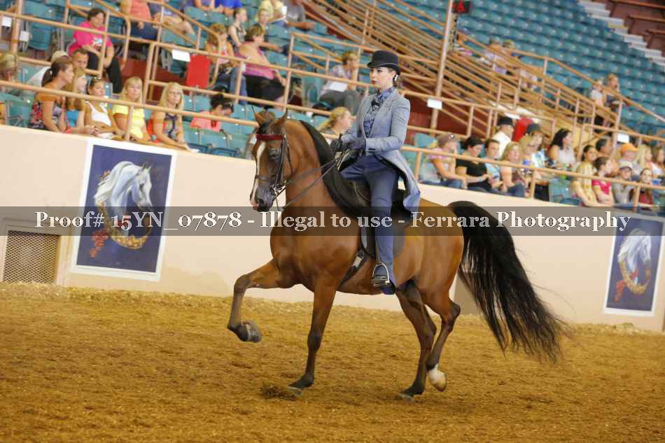 Proof 15YN_07878