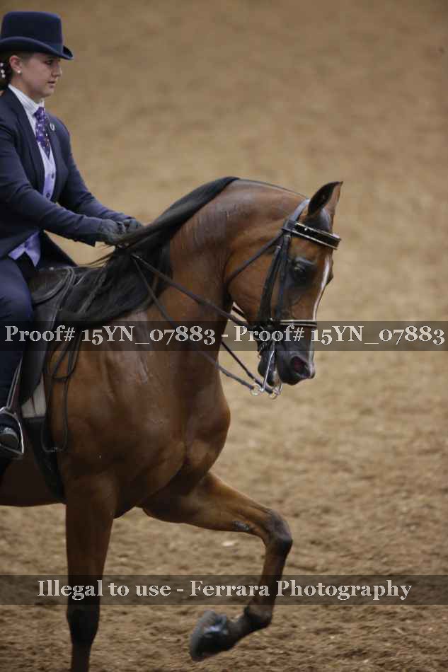 Proof 15YN_07883