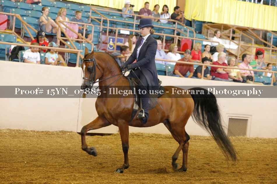 Proof 15YN_07885