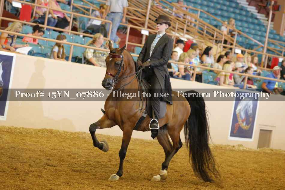 Proof 15YN_07886
