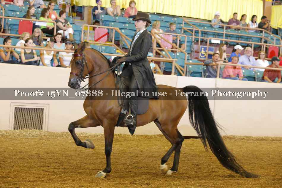 Proof 15YN_07888
