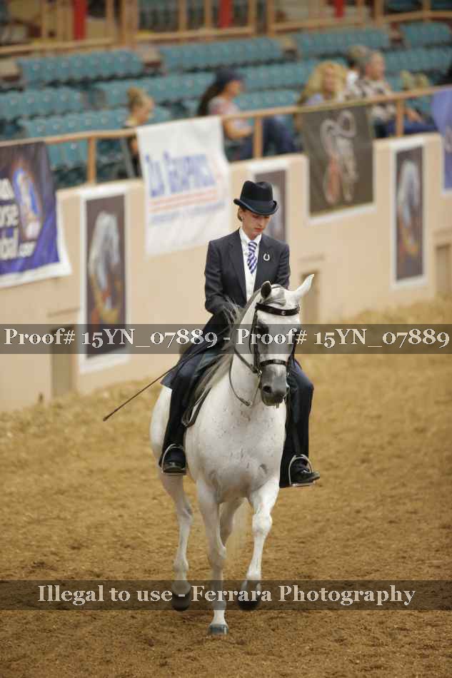 Proof 15YN_07889