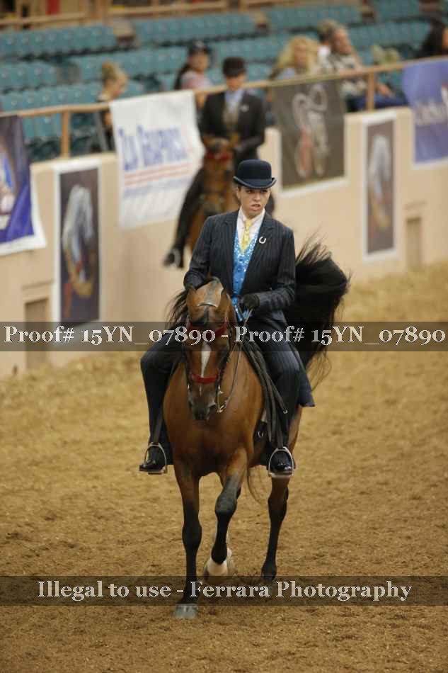 Proof 15YN_07890