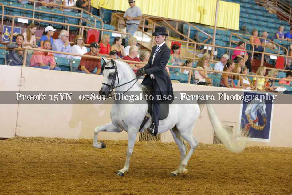 Proof 15YN_07891