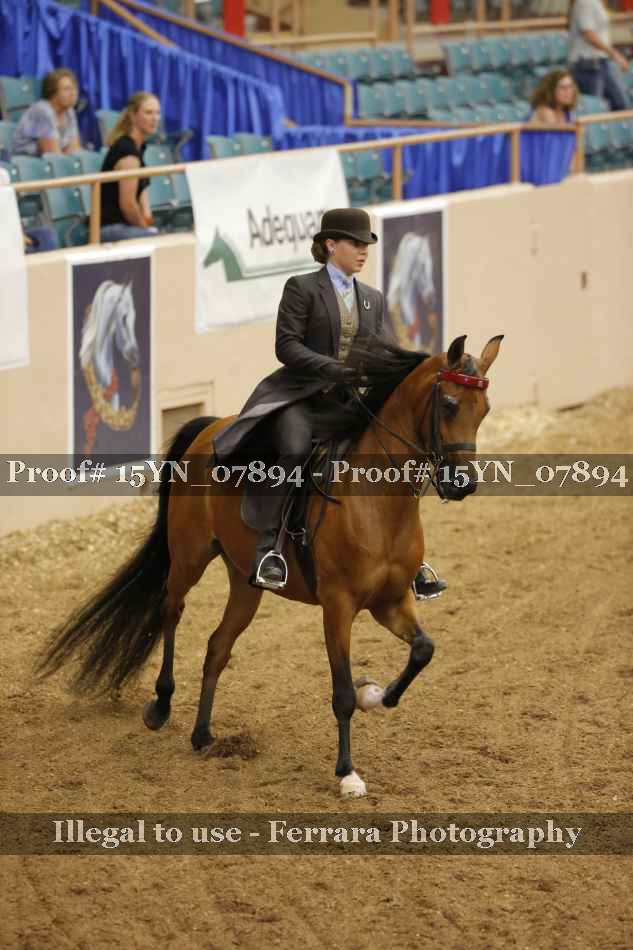 Proof 15YN_07894