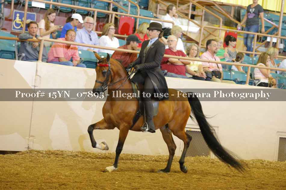 Proof 15YN_07895