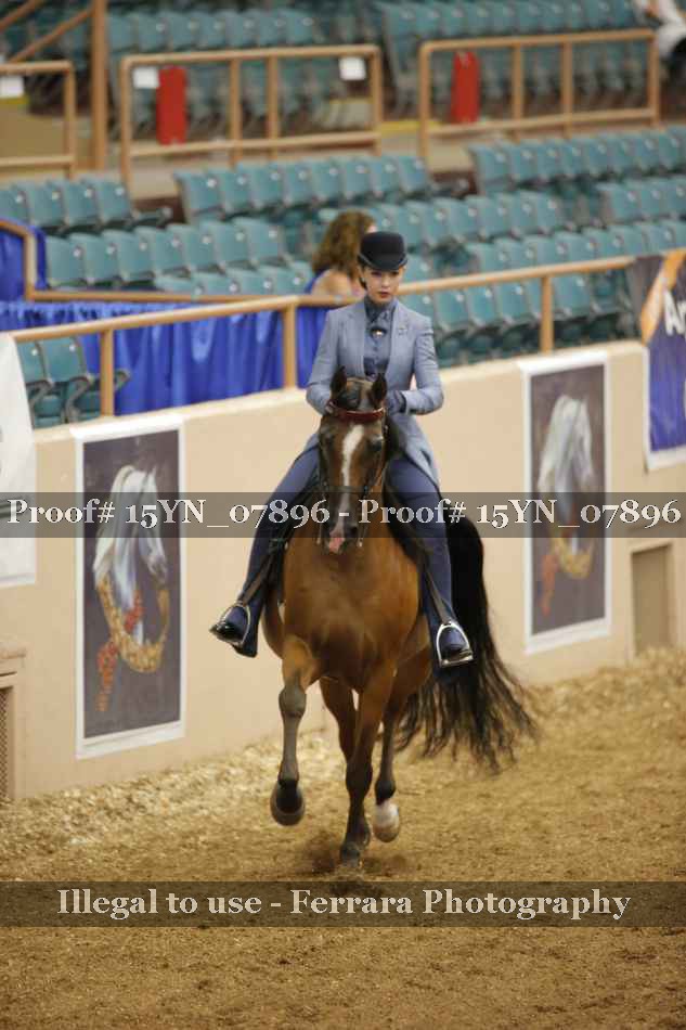 Proof 15YN_07896