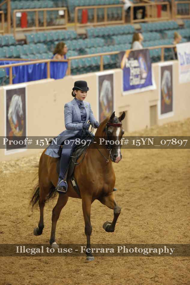 Proof 15YN_07897