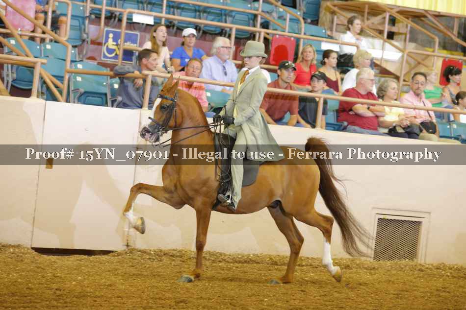 Proof 15YN_07901