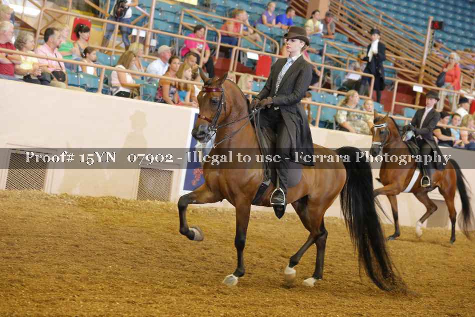 Proof 15YN_07902