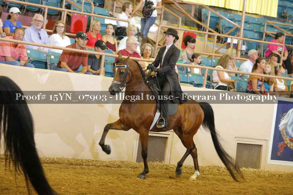 Proof 15YN_07903