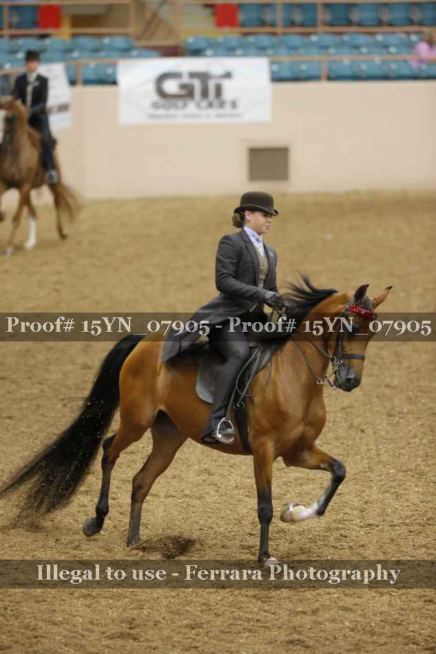 Proof 15YN_07905