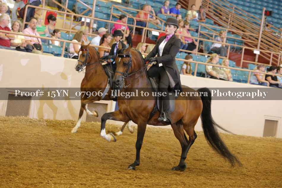 Proof 15YN_07906