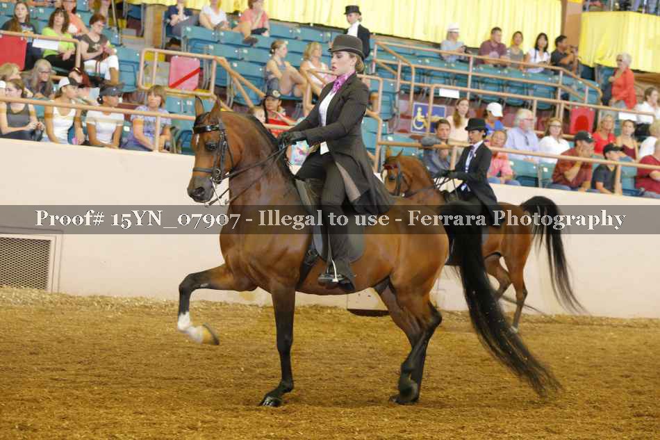 Proof 15YN_07907