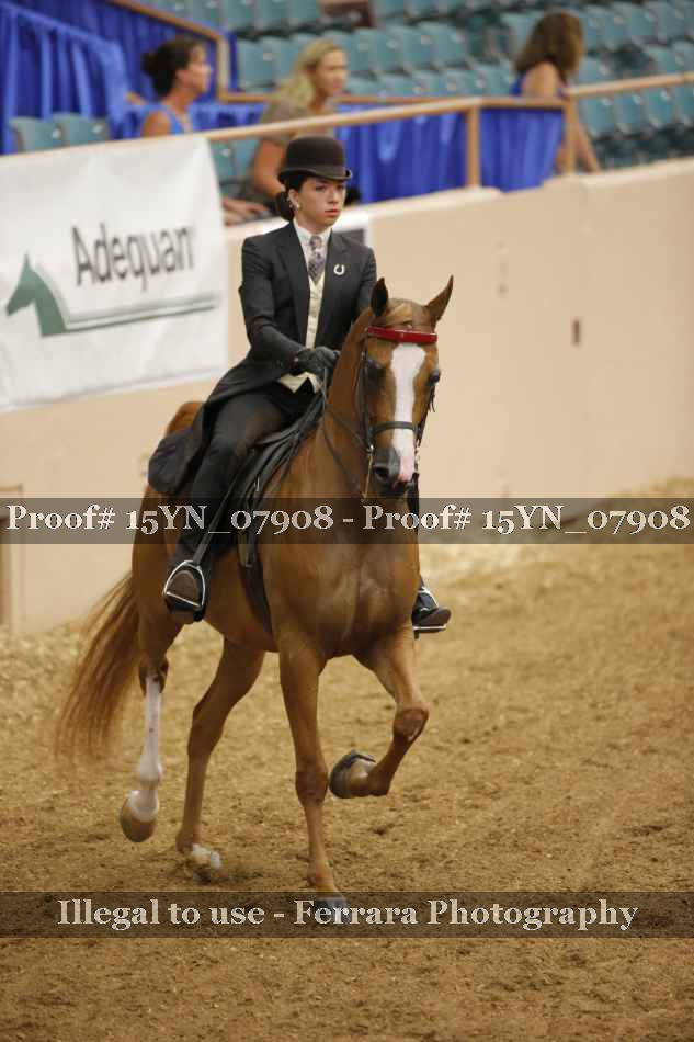 Proof 15YN_07908