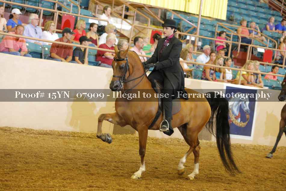 Proof 15YN_07909