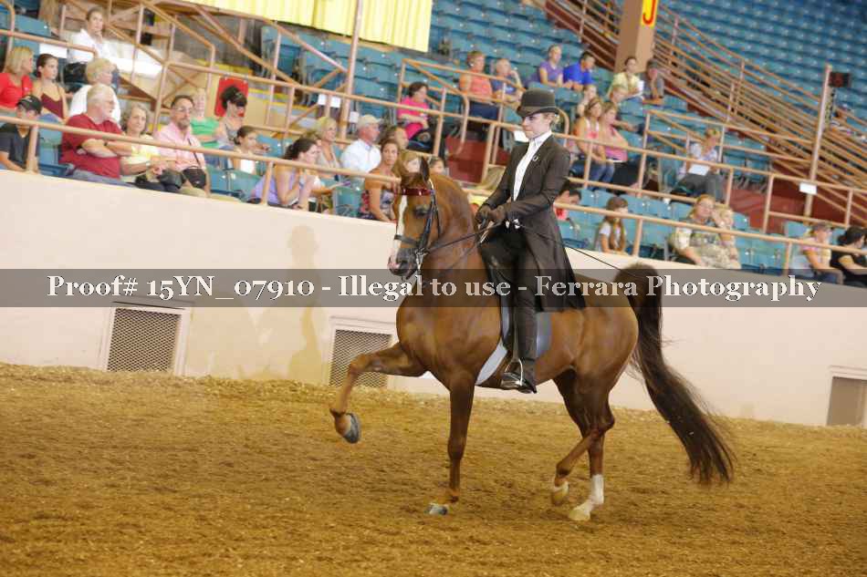 Proof 15YN_07910