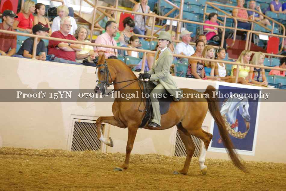 Proof 15YN_07911