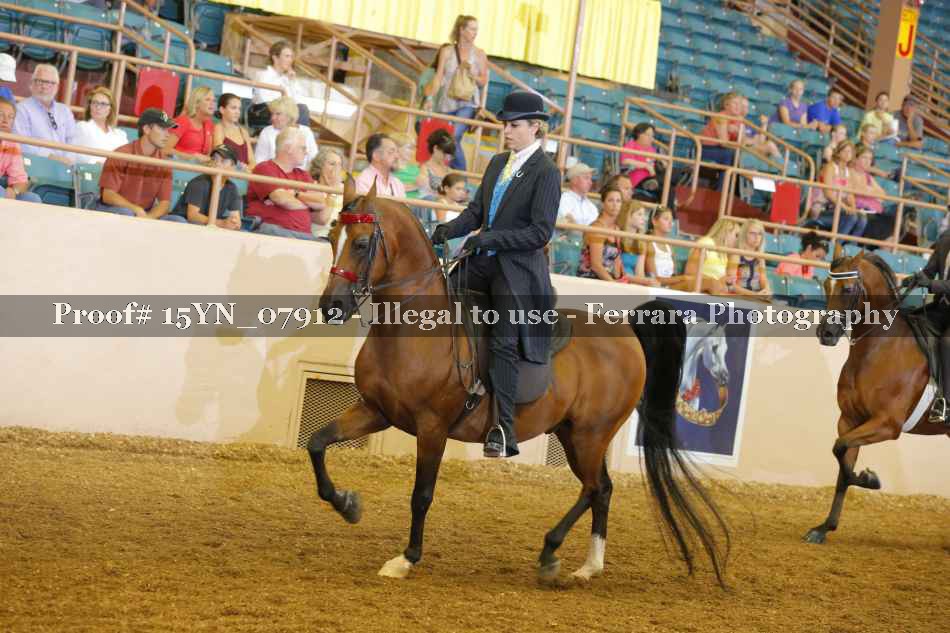Proof 15YN_07912